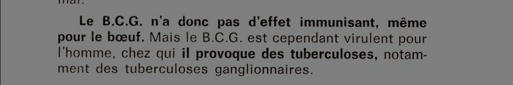 LE BCG n'a donc pas d'effet immunisant, même pour le bœuf. Mais le BCG est cependant virulent pour l'homme, chez qui il provoque des tuberculoses, notamment des tuberculoses ganglionnaires.